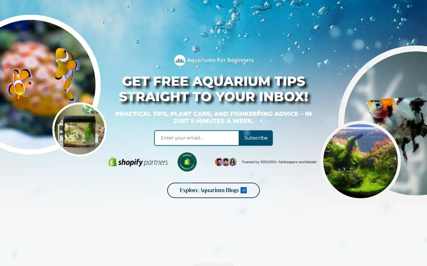 Aquariums For Beginners homepage with the newsletter sign-up.